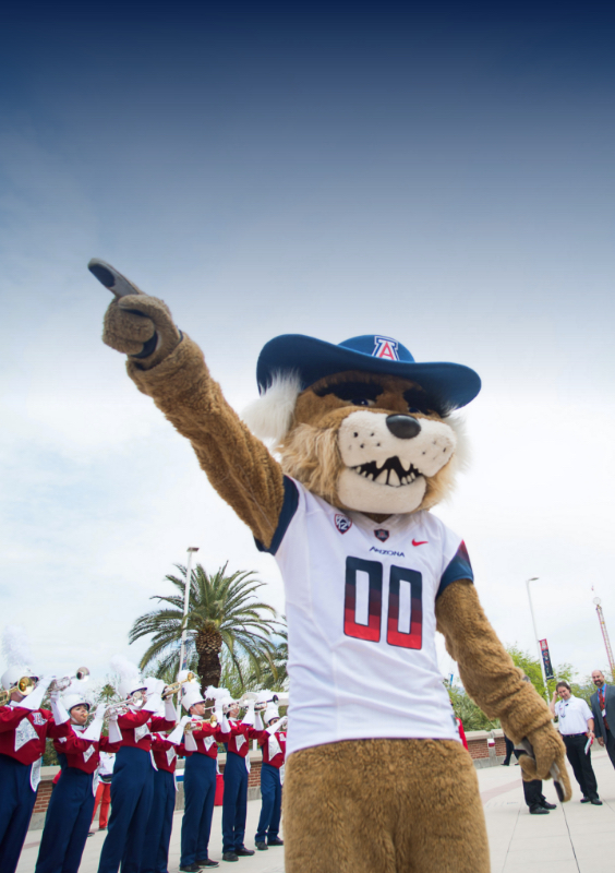 University of Arizona mascot Wilbur with Pride of Arizona in background.