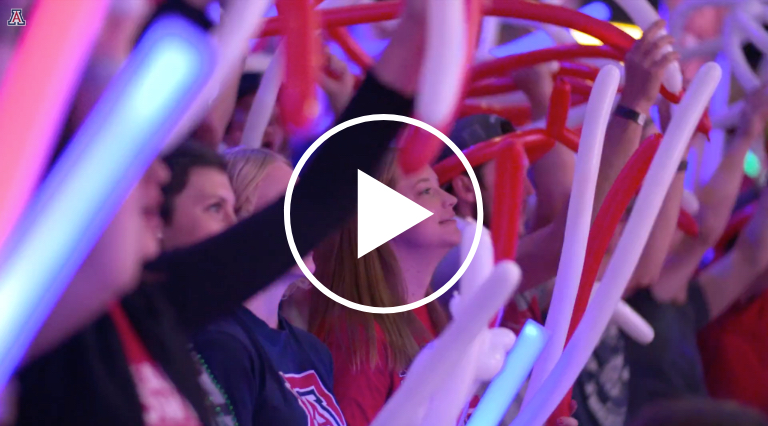 ZonaZoo Goes Wild